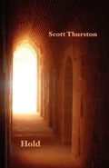 Cover: Hold - Shearsman Books