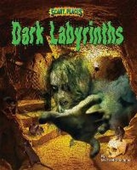 Enlarge image Cover: Dark Labyrinths - Bearport Books