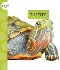 Abbildung von: Turtles - Spot