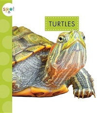 Abbildung von: Turtles - Amicus Ink