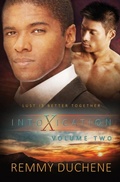 Cover: Intoxication - Totally Bound Publishing