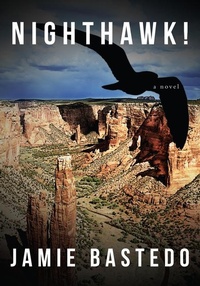 Enlarge image Cover: Nighthawk! - Red Deer Press