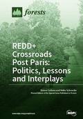 Cover: REDD+ Crossroads Post Paris: Politics, Lessons and Interplays - MDPI