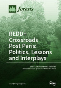 Enlarge image Cover: REDD+ Crossroads Post Paris: Politics, Lessons and Interplays - MDPI