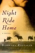 Cover: Night Ride Home - Collins