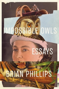 Enlarge image Cover: Impossible Owls - Fsg Originals