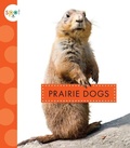 Cover: Prairie Dogs - Spot