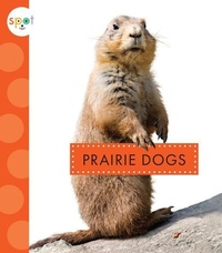 Enlarge image Cover: Prairie Dogs - Spot
