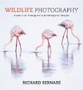 Cover: Wildlife Photography - Ilex