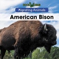 Cover: American Bison - Cavendish Square Publishing