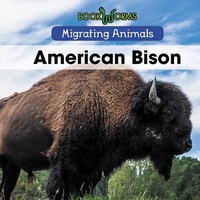 Enlarge image Cover: American Bison - Cavendish Square Publishing