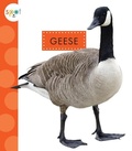 Cover: Geese - Spot