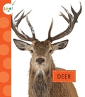 Cover: Deer - Spot