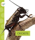 Cover: Crickets - Amicus Ink