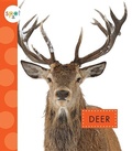Cover: Deer - Amicus Ink