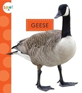 Cover: Geese - Amicus Ink