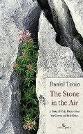 Cover: The Stone in the Air - Salmon Poetry