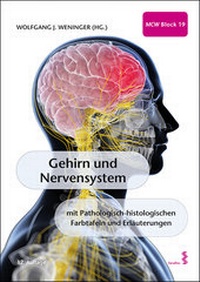 Abbildung von: Gehirn und Nervensystem - Facultas