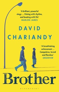 Enlarge image Cover: Brother - Bloomsbury Publishing PLC