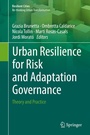 Cover: Urban Resilience for Risk and Adaptation Governance - Springer