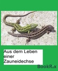 Cover: Aus dem Leben einer Zauneidechse - BookRix