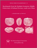 Cover: Special Papers in Palaeontology, Brachiopods from the Dashaba Formation (Middle Ordovician) of Sichuan Province, south-west China - Wiley