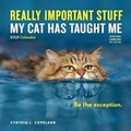 Cover: 2019 Really Important Stuff My Cat Has Taught Me Wall Calendar - Workman Publishing