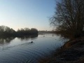 Cover: To the River - Arnolfini