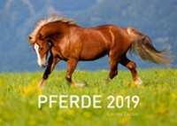 Abbildung von: Pferde Exklusivkalender 2019 (Limited Edition) - 360° medien