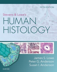 Abbildung von: Stevens & Lowe's Human Histology - E-Book - Elsevier