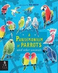 Cover: A Pandemonium of Parrots and Other Animals - Big Picture Press
