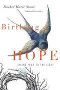 Cover: Birthing Hope - Giving Fear to the Light - IVP Books