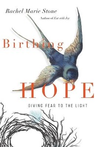 Enlarge image Cover: Birthing Hope - Giving Fear to the Light - IVP Books