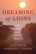 Cover: Dreaming of Lions - Rizzoli