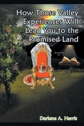 Cover: How Those Valley Experiences Will Lead You to the Promised Land - Strategic Book Publishing