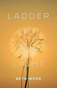 Enlarge image Cover: Ladder to the Light - Mezcalita Press, LLC