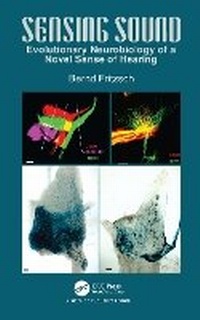 Abbildung von: Sensing Sound - CRC Press