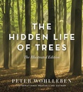 Cover: The Hidden Life of Trees - Greystone Books,Canada