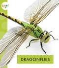 Cover: Dragonflies - Spot