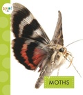 Cover: Moths - Spot