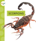 Cover: Scorpions - Spot