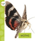 Cover: Moths - Amicus Ink
