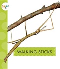 Cover: Walking Sticks - Amicus Ink