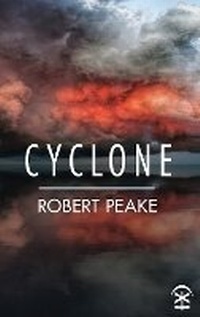 Enlarge image Cover: Cyclone - Nine Arches Press