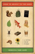 Cover: How to Adjust to the Dark - Curbside Splendor Publishing