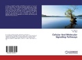 Cover: Cellular And Molecular Signaling Pathways - LAP Lambert Academic Publishing
