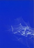 Cover: Jakub Nepras - Kunstforum Ostdeutsche Galerie Regensburg