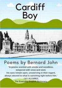 Enlarge image Cover: Cardiff Boy - Carys Books