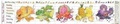 Cover: Rainbow Food Activity Chart - Liz Cook