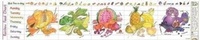 Enlarge image Cover: Rainbow Food Activity Chart - Liz Cook